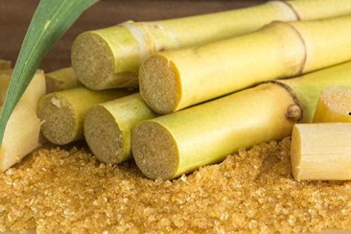 热点爆料甘蔗怎么做视频,视频教程带你轻松学会  第2张