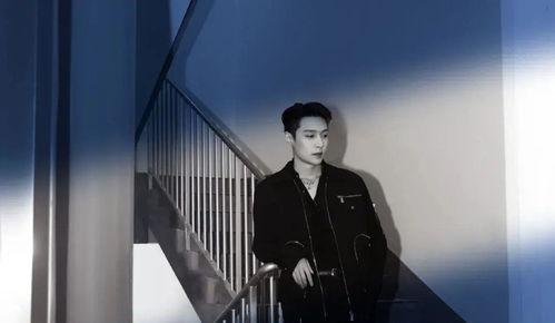 娱乐圈真实爆料2021,揭秘明星幕后故事与幕后黑幕